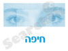מרכז סיוע לתקיפה מינית בחיפה 